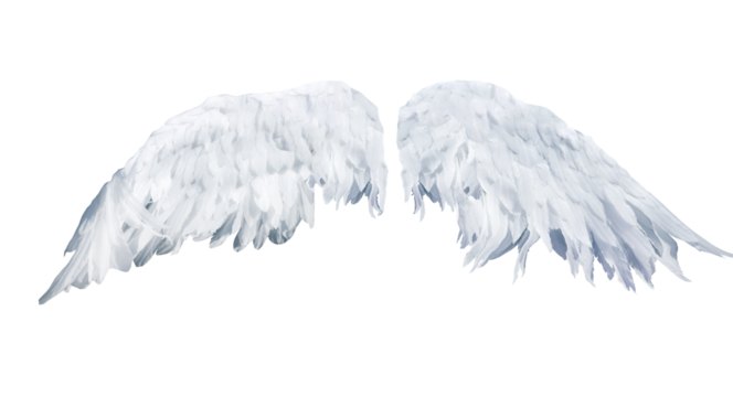 skrzydła na przezroczystym tle png