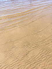 Sandy beach and clear sea water. Beautiful summer creative composition.
