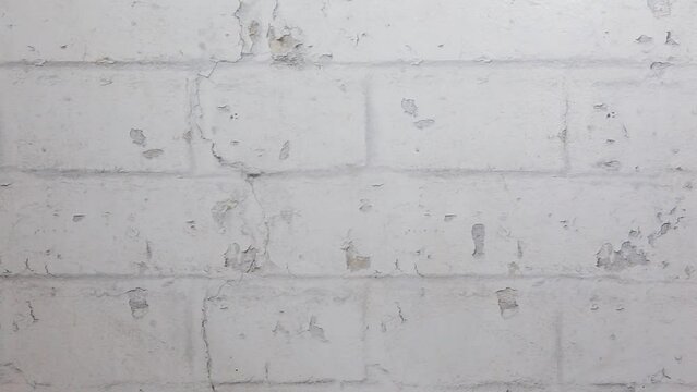 footage of old white brick wall background