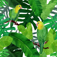 Watercolor seamless pattern with birds in tropical forest. Watercolor hand drawn green exotic plant leaf and lovebirds. Design for covers, backgrounds, decorations, prints.	