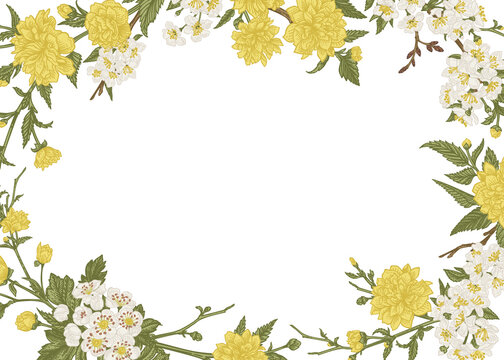 Fototapeta Vintage  with cherry, kerriya japonica and hawthorn flowers. Spring illustration. Floral invitation card, isolated on transparent background.
