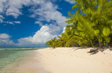 Rolgordijnen Barbados © Fyle