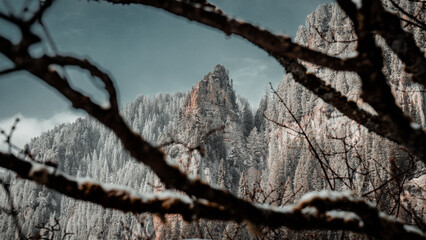 Winter mountain © LN