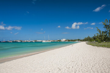 Pebbles Beach in Barbados - 576980662
