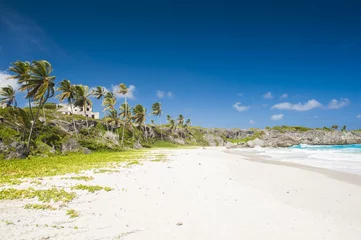 Foto op Plexiglas Harrismith Beach in Barbados © Fyle
