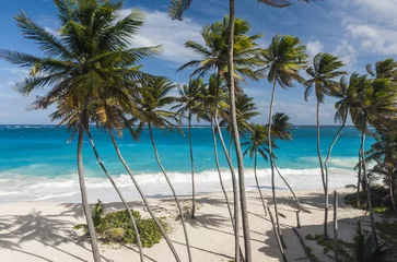 Stof per meter Bottom Bay beach in Barbados © Fyle