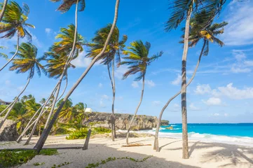 Zelfklevend Fotobehang Bottom Bay beach in Barbados © Fyle