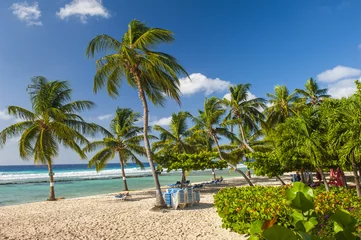 Deurstickers Barbados beach © Fyle