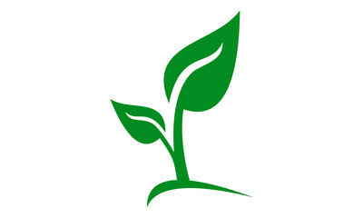 Fototapeta premium green leaf ecology nature vector logo