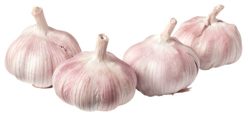 Whole garlic bulbs isolated on the white background.