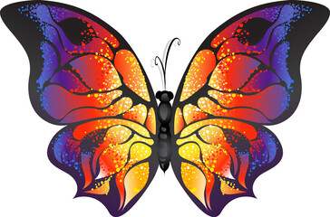 Bright Exotic Butterfly