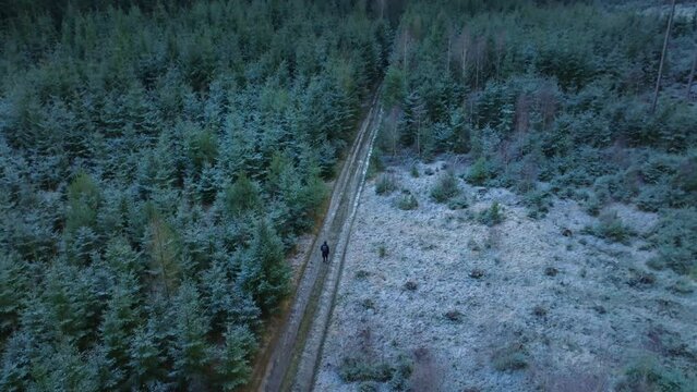 Top View Of Person Hiking On Road In Heart Of Snowy Wild Forest, Svitavy, Czech Republic