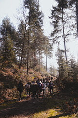 Kicking in the forest