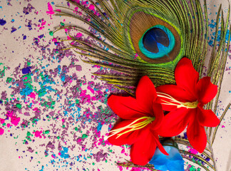 Colorful powders for holi on clay pots on occasion of indian festival of colors. happy holi theme shot with peacock feathers. copy space for text.