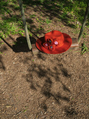 red hat on a swing in the park 