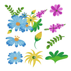 Fototapeta na wymiar Vector botanical set of wild flowers set of separate parts and bring together to beautiful bouquet of flowers in water colours, png format.