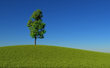 Fototapeta na wymiar Isolated tree in a green meadow on blue. 3D Render