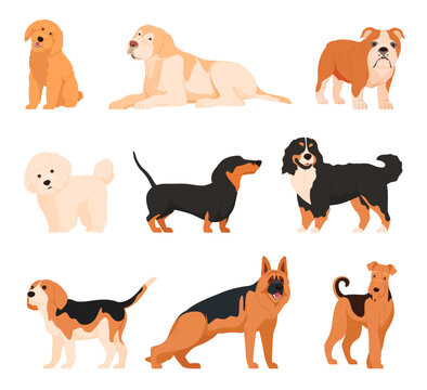 Different dogs in cartoon style. Large and small pets of various breeds. Four-legged friends, defenders of the house. Vector illustration