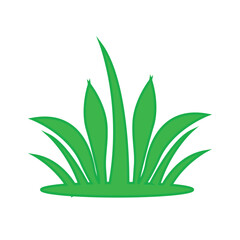 grass, icon, color,green, vector, illustration, design, logo, template, flat, trendy,collection