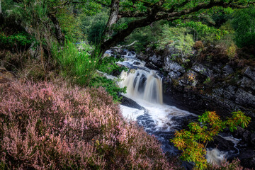 Obraz premium Rogie Falls on the River Black Water, Highlands, Scotland