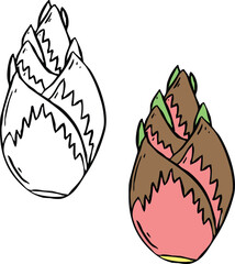 Bamboo shoots vector illustration,  Perfect for art, postcards, cards, wall decor, t-shirts, cards, prints, drawing books, coloring books, wallpaper, prints, cards, ect.