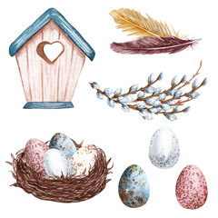 Happy Easter! watercolor illustrations of bird eggs with flowers, plants and greeting frame.