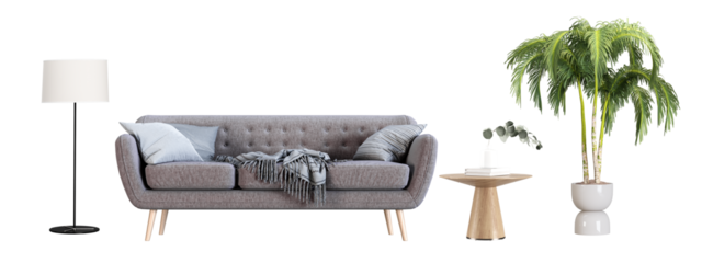 Front view sofa and plant isolated on white background