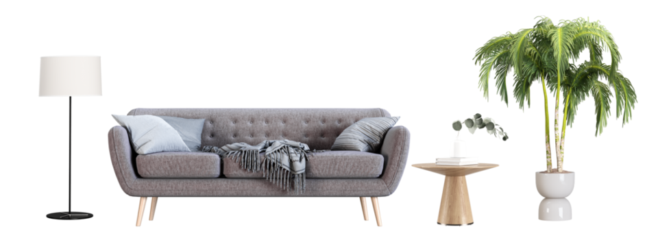 Front view sofa and plant isolated on white background