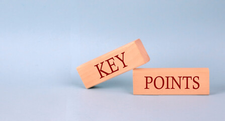 KEY POINTS text on the wooden block, blue background
