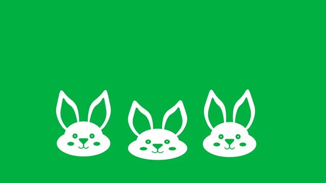 three little white bunny jumping animation on green screen