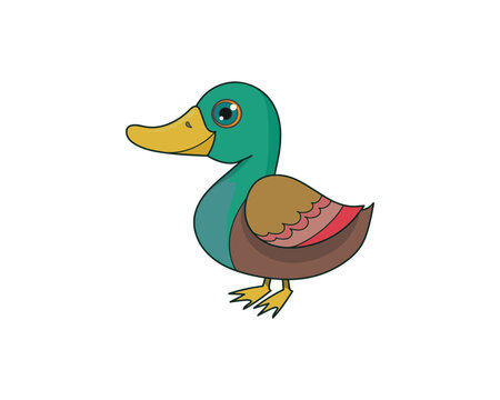 Duck vector isolated colour icon. Duck animal vector icon. Duck icon