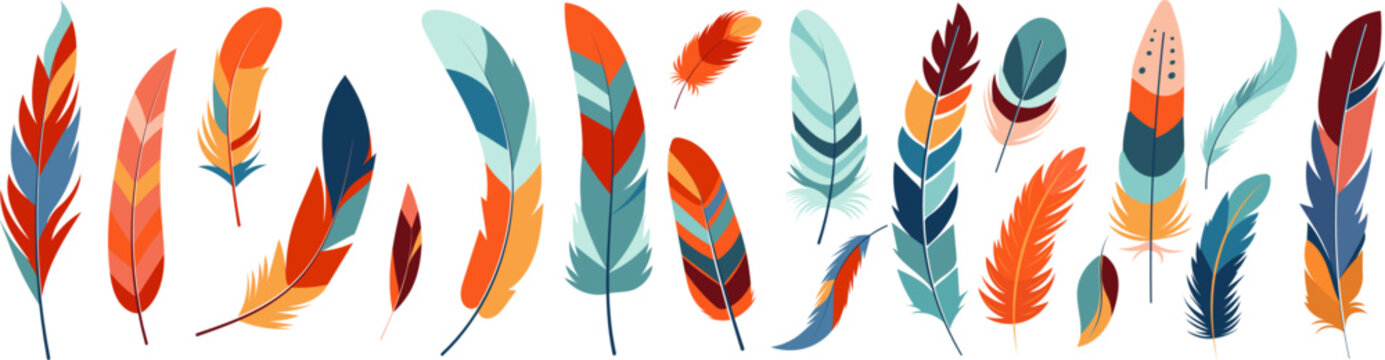 Fototapeta bird feathers on white background isolated vector