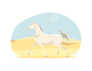 Beautiful arabian horse in the desert, vector illustration