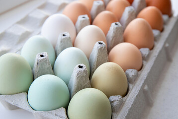 Lot of different color chicken eggs arranged by color on paper egg box. All sorts of colors: blue,...