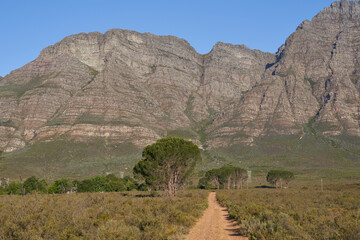 Escarpment rising above the plains and trees of Elandsberg Nature Reserve in the Western Cape,...