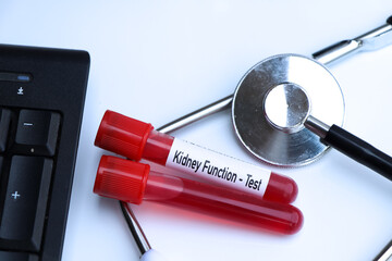 kidney function test to look for abnormalities from blood