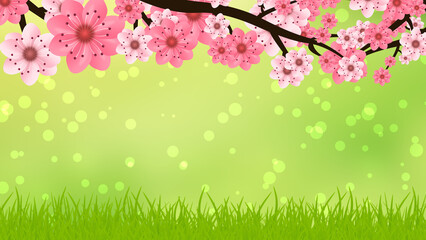Obraz na płótnie Canvas beautiful spring background image