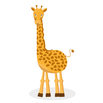 Cartoon cute giraffe. Isolated vector illustration. For T-shirts, children's books and postcards