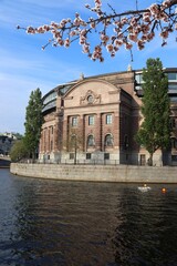Fototapeta na wymiar Parliament of Sweden in Stockholm. Spring time cherry blossoms.