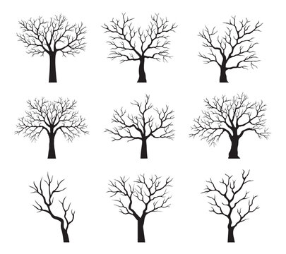 set of silhouettes of trees