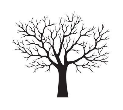black drawing vector tree
