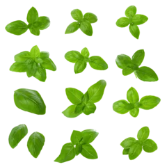 Foto op Canvas Close up of fresh green basil herb leaves isolated on a transparent background. © kaiskynet