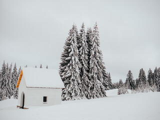 snow covered house