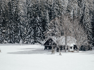 house in the snow