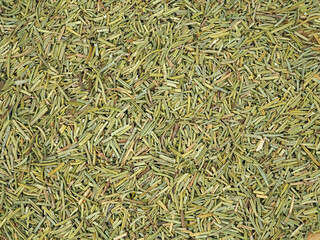 Dried rosemary aromatic condiment as background