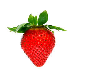 One big red strawberry on a white background