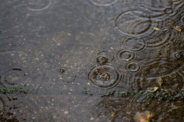 Raindrops on pavement