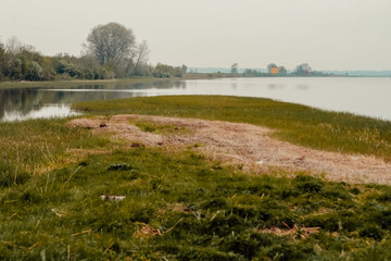 wild meadow flowers, natural scenery with river