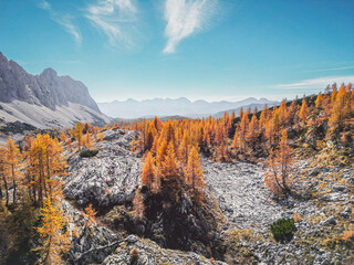 Dramatic views of red trees on rocky grounds somewhere in the Triglav national park