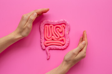 Human intestines colon organ shape with hands. Digestive tract problems colitis or colon cancer